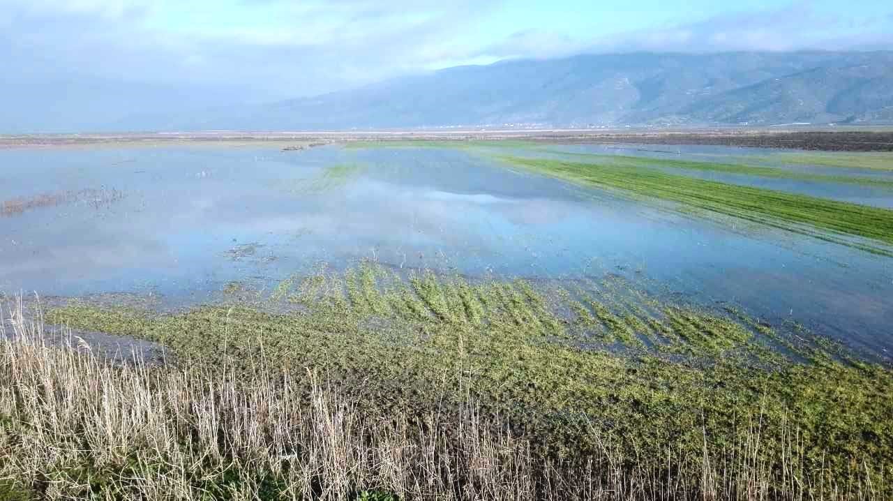 Στη δικαιοσύνη για τις ζημιές του Daniel